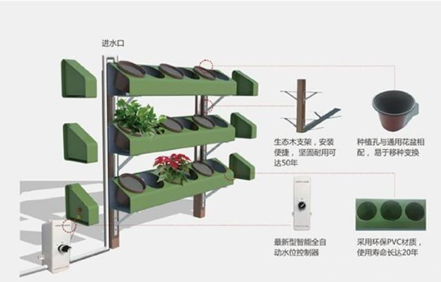 水培植物墙