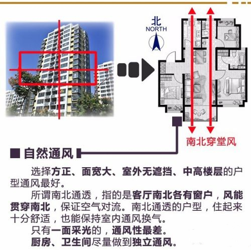 布局最好的户型图